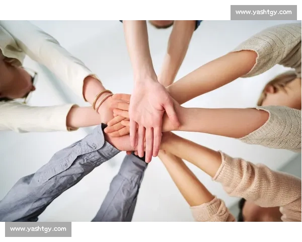 以团队协作为核心驱动力的高效执行与共同成长新模式探索实践与思考